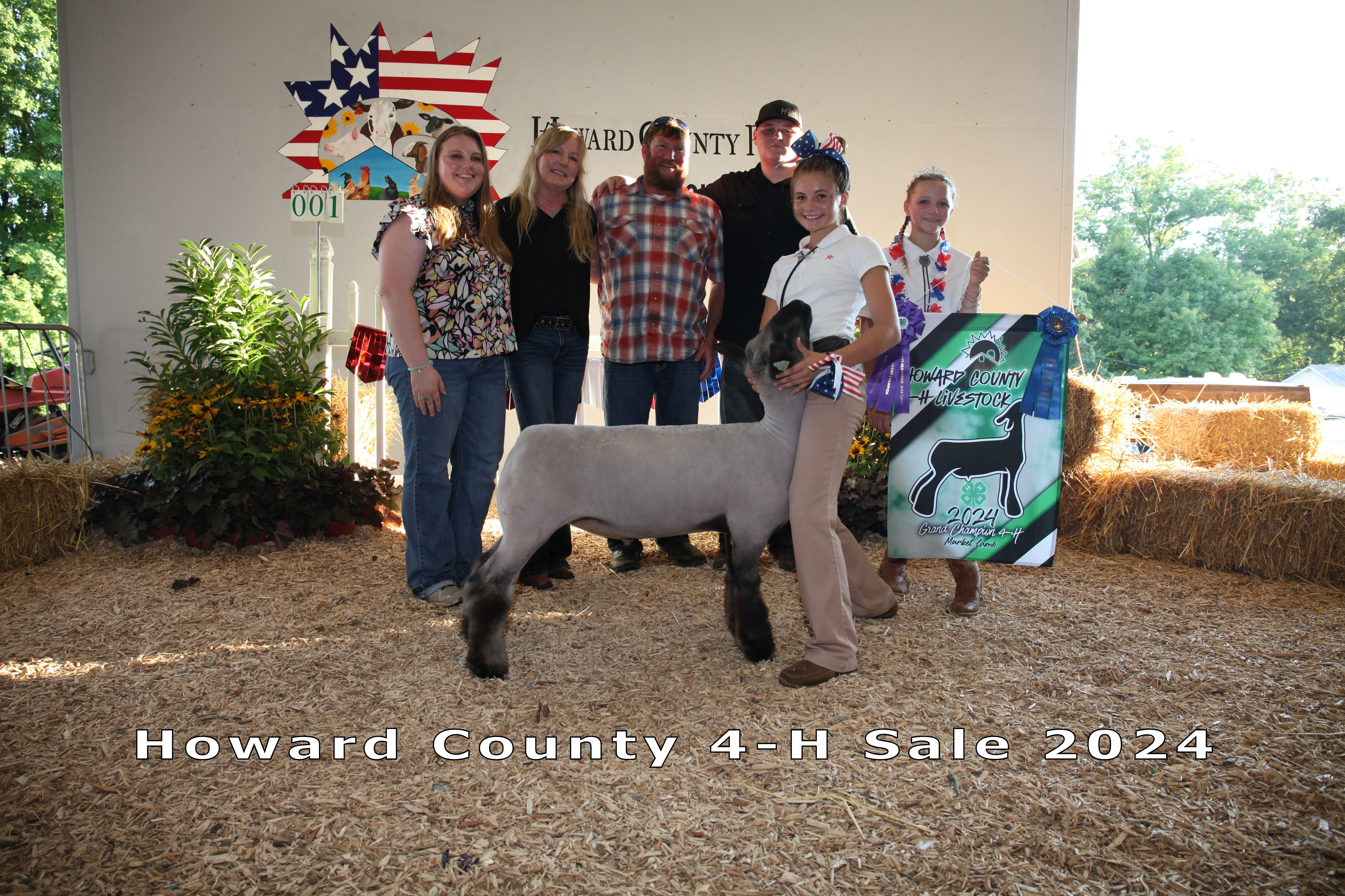Grand Champion Market Lamb