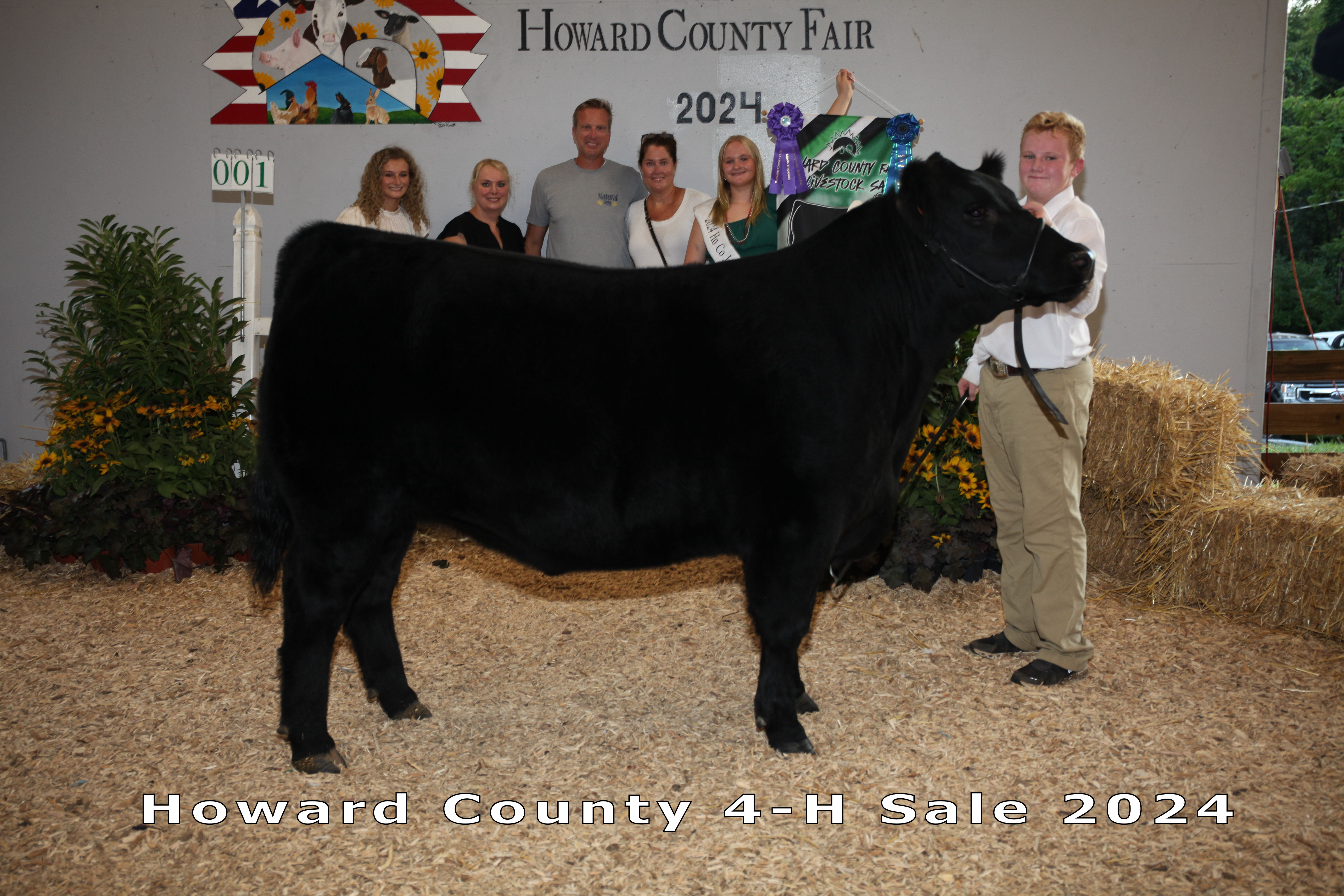 Grand Champion Market Steer