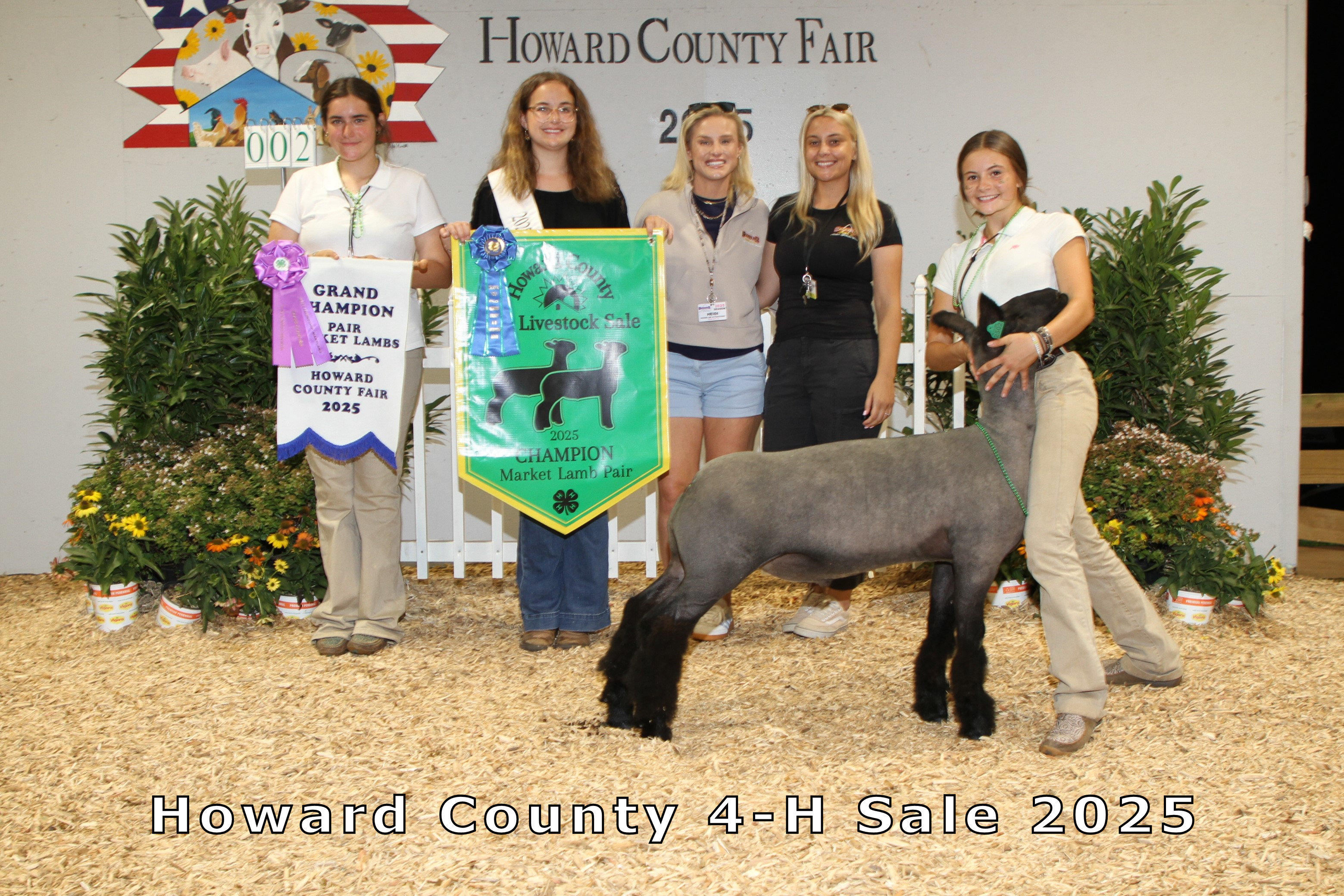 Champion Pair Market Lamb