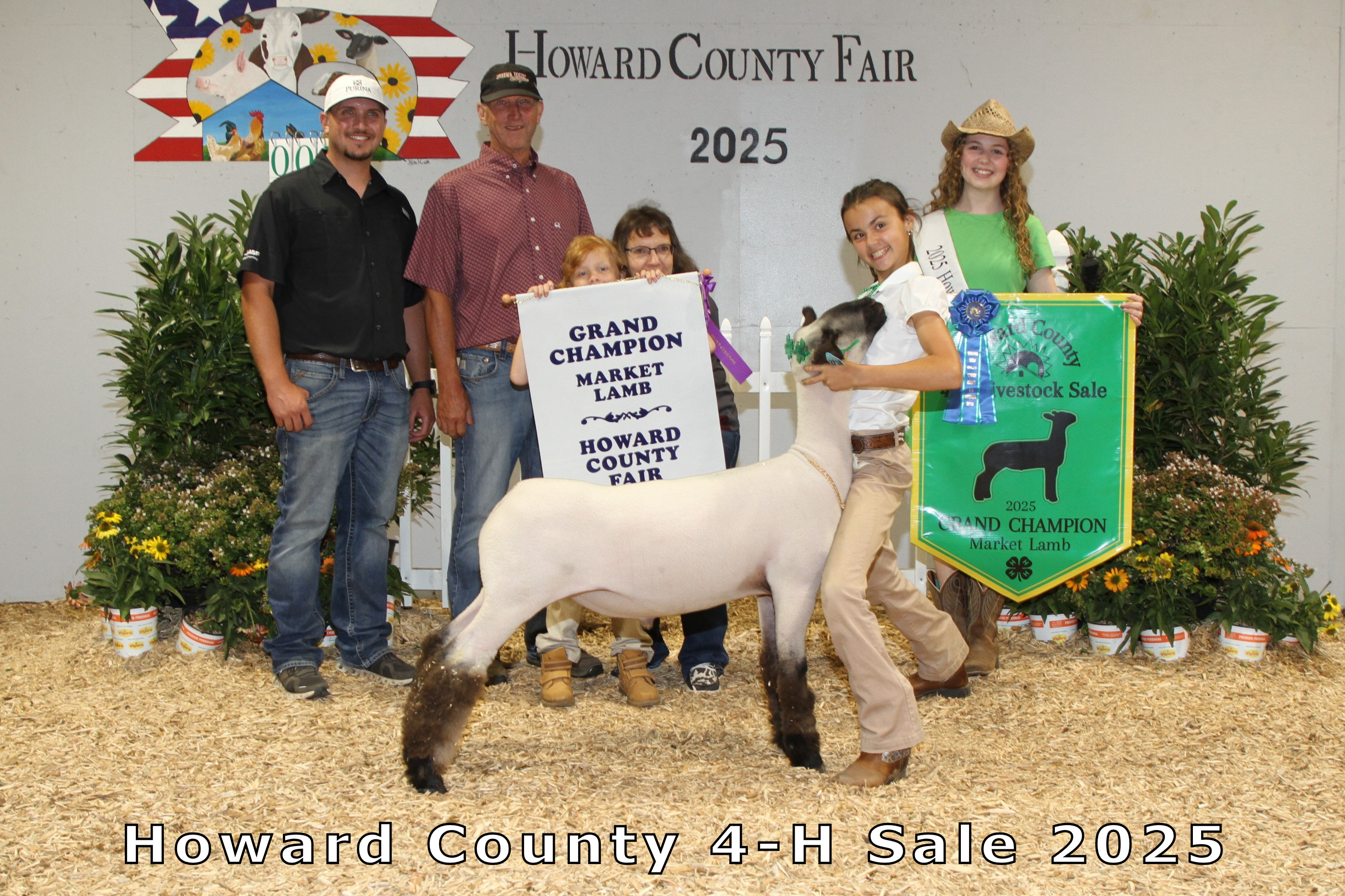 Grand Champion Market Lamb