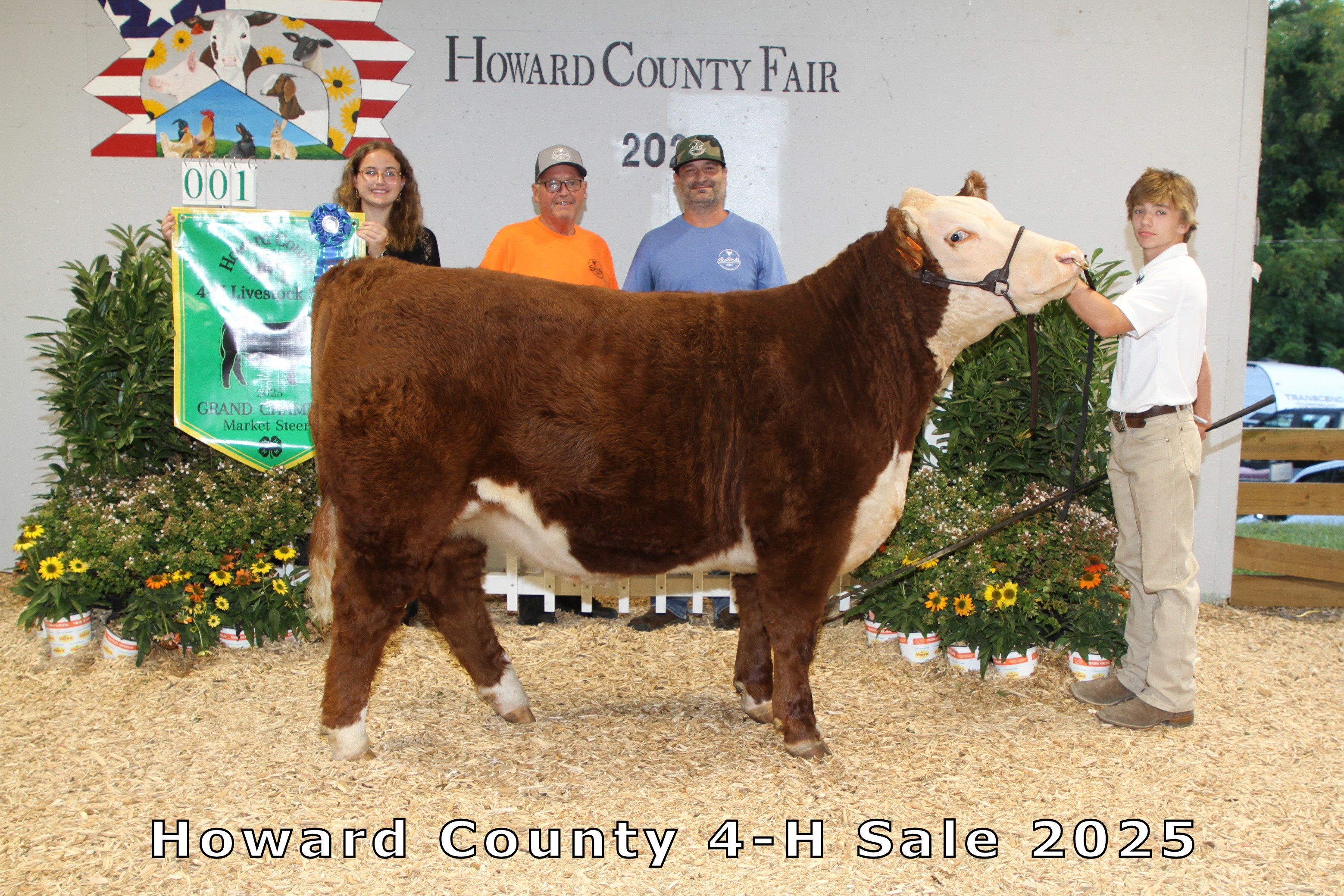 Grand Champion Market Steer