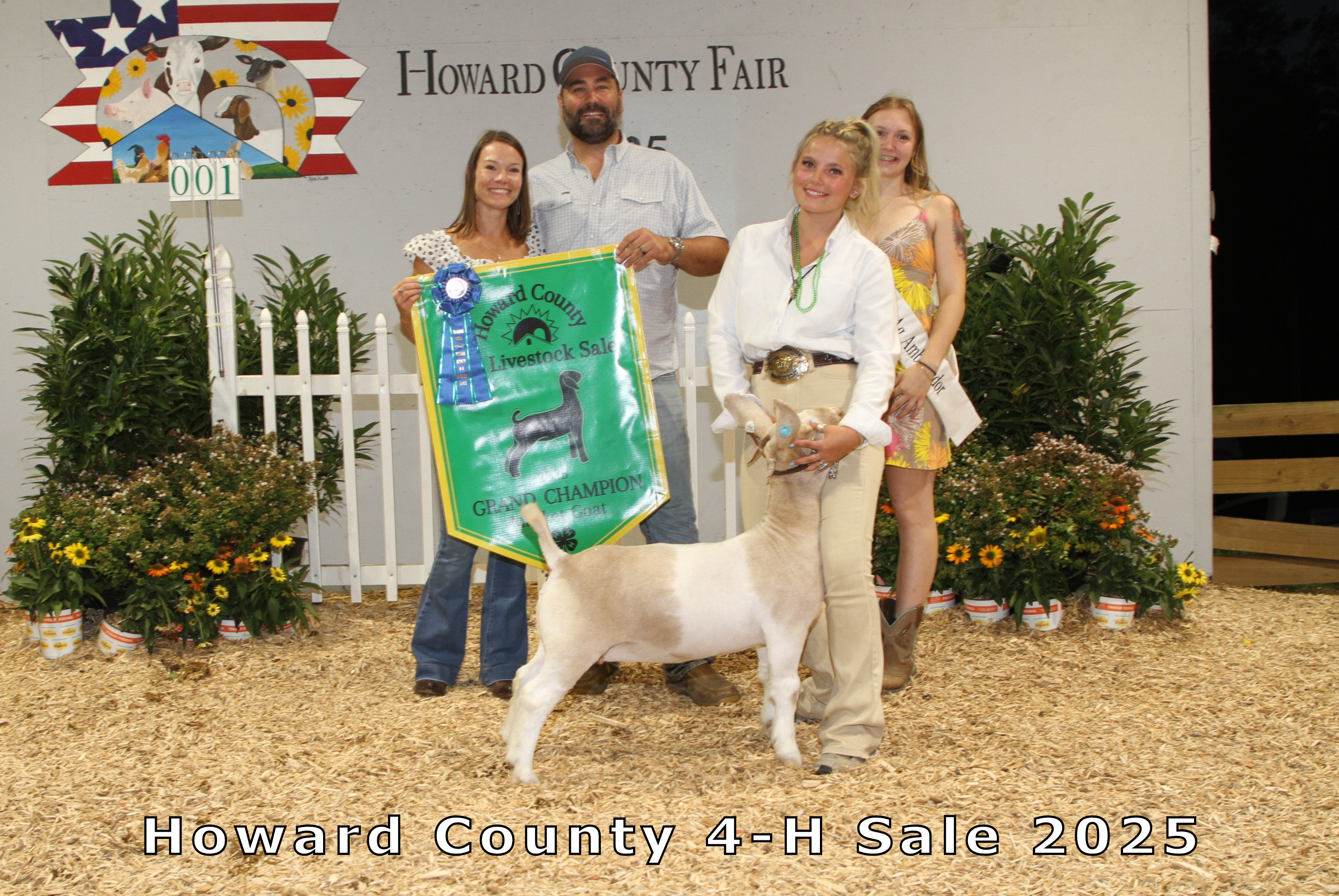 Reserve Champion Market Goat