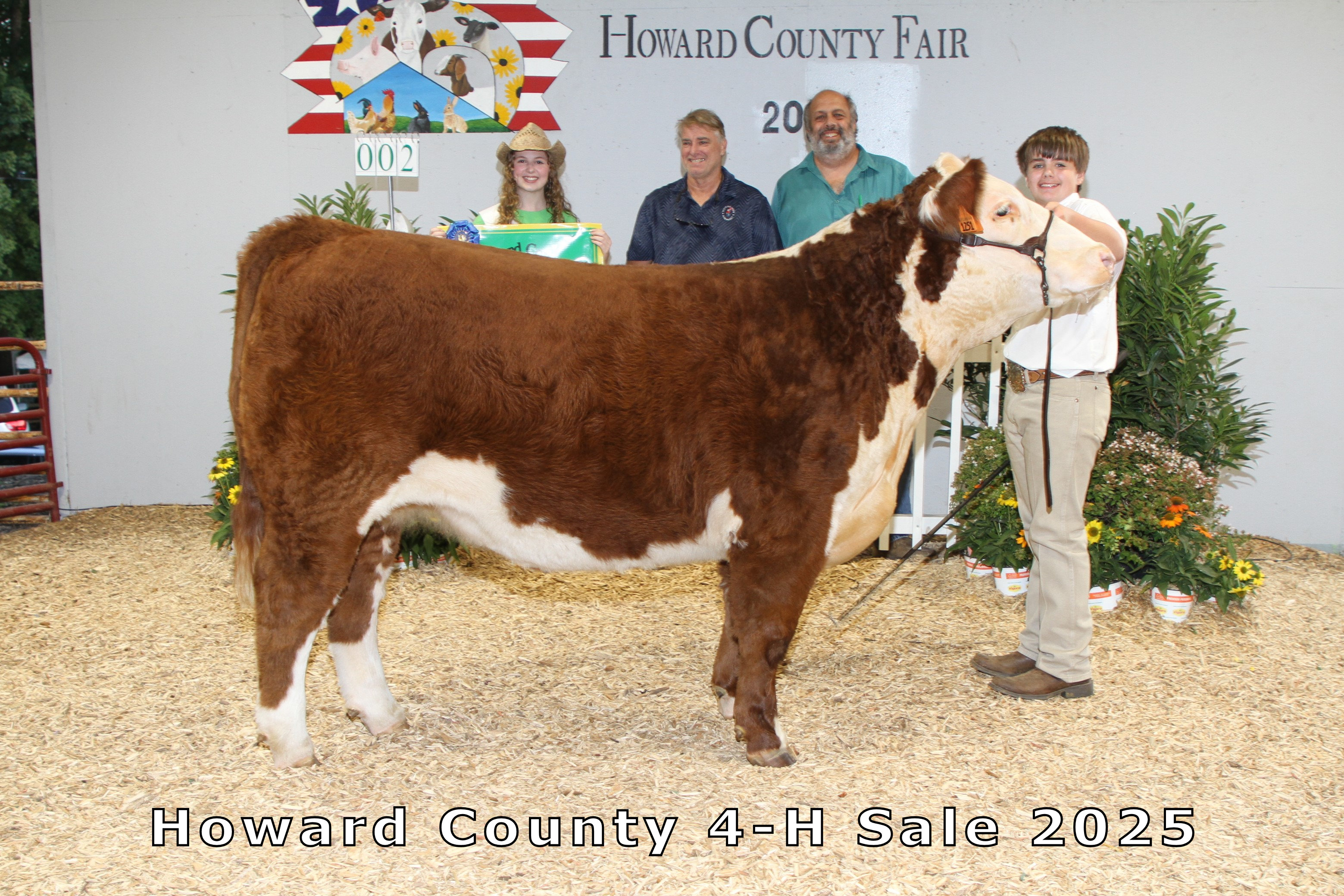 Reserve Champion Market Steer
