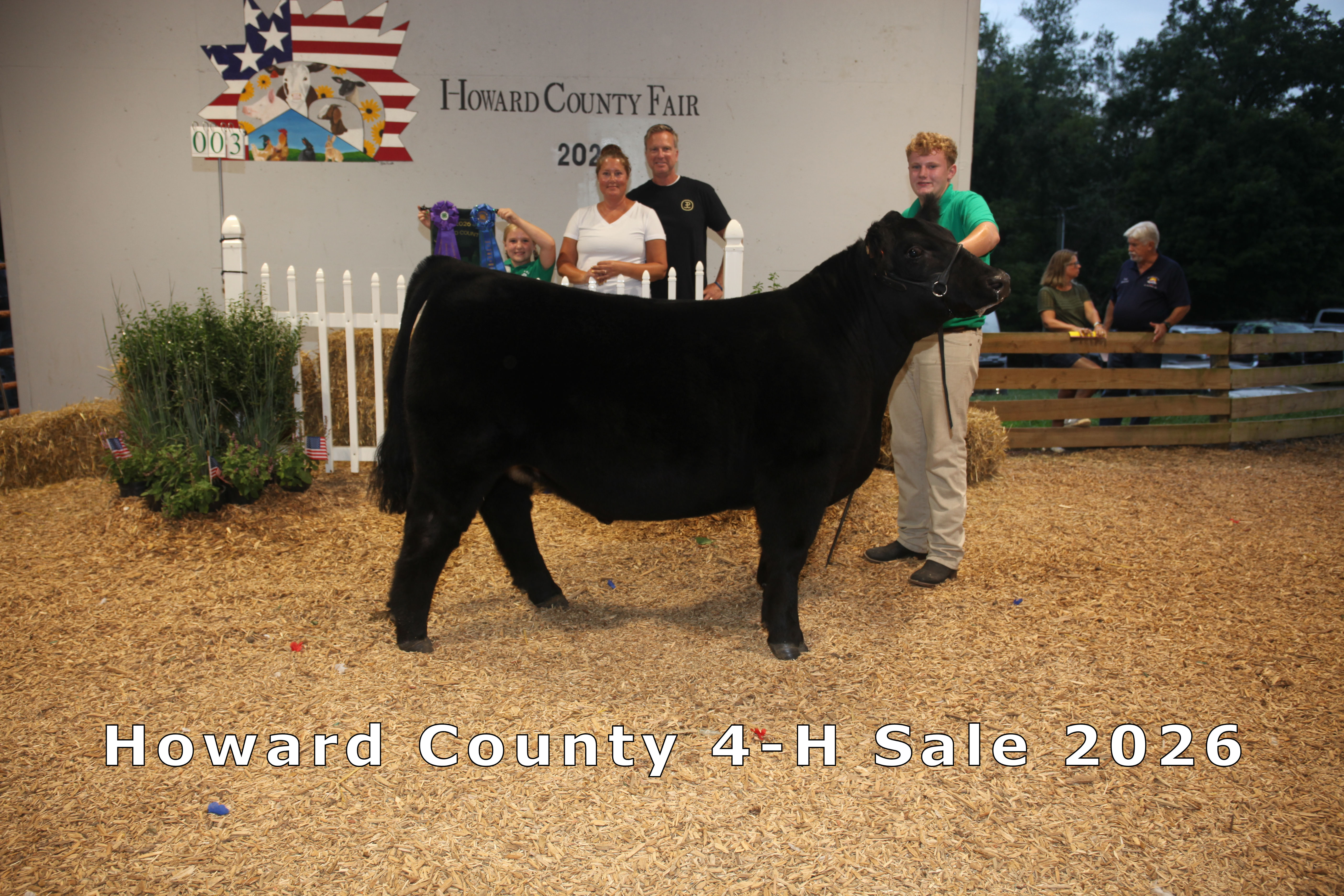 Grand Champion Bred & Owned Market Steer