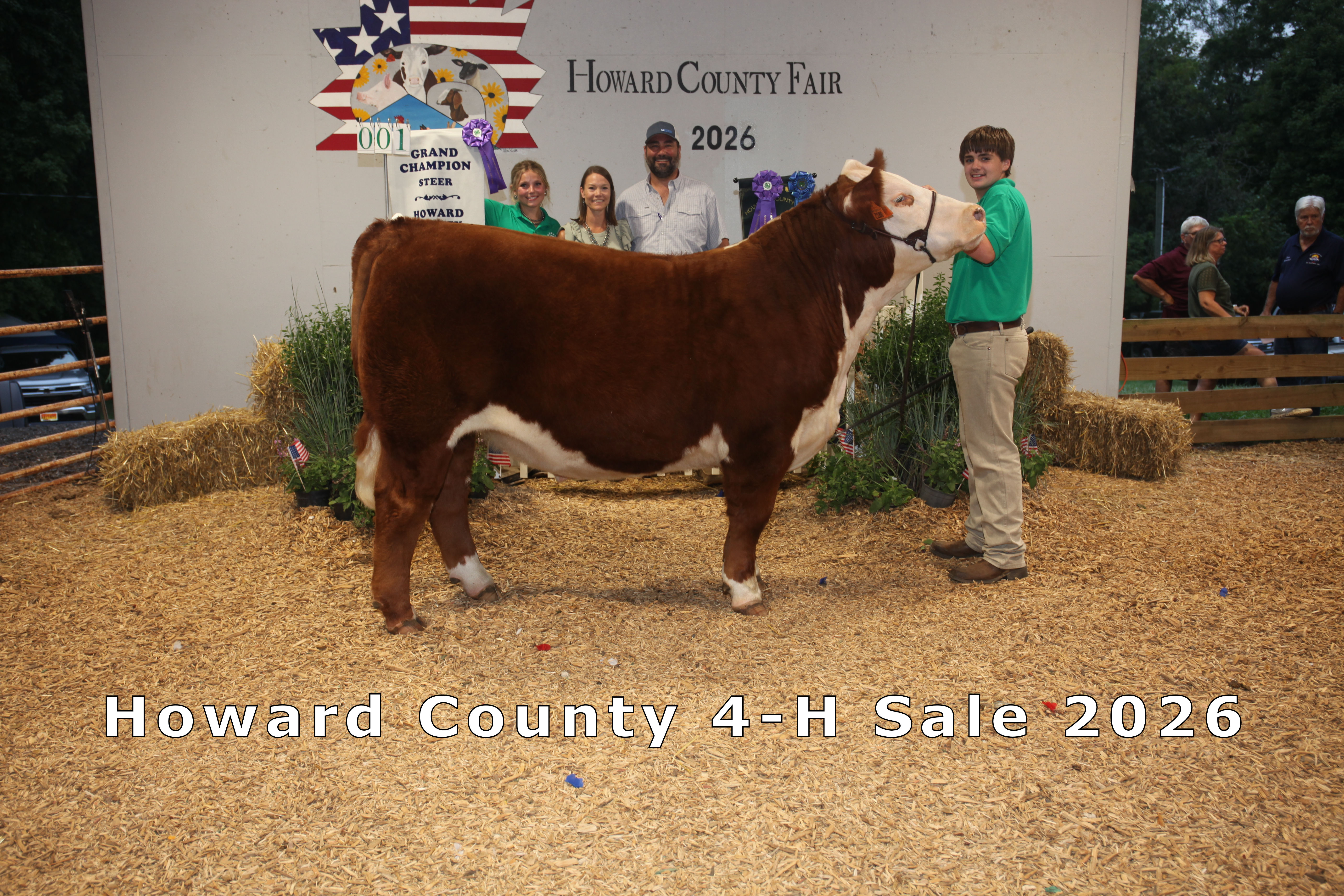 Grand Champion Market Steer