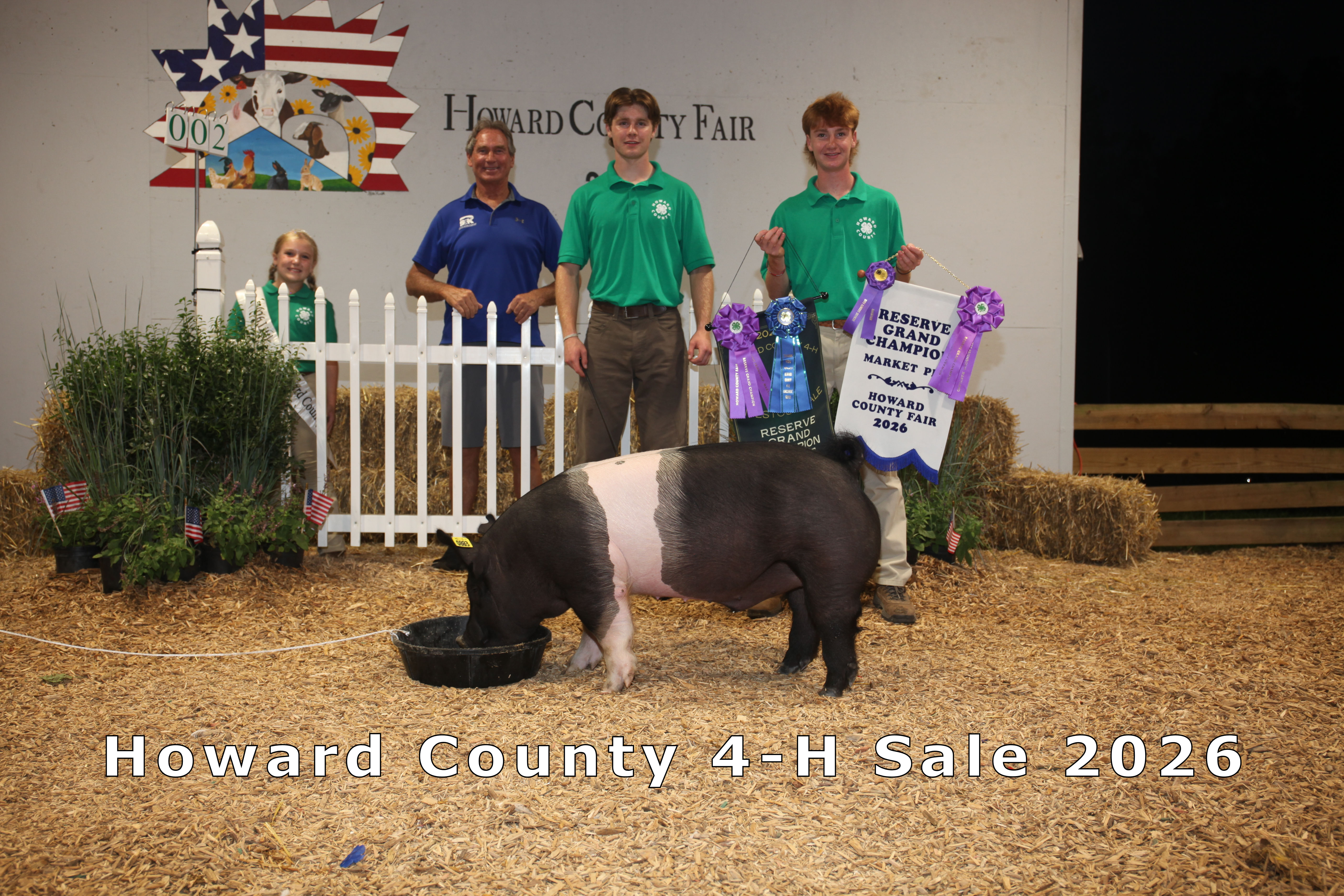 Reserve Champion Market Hog