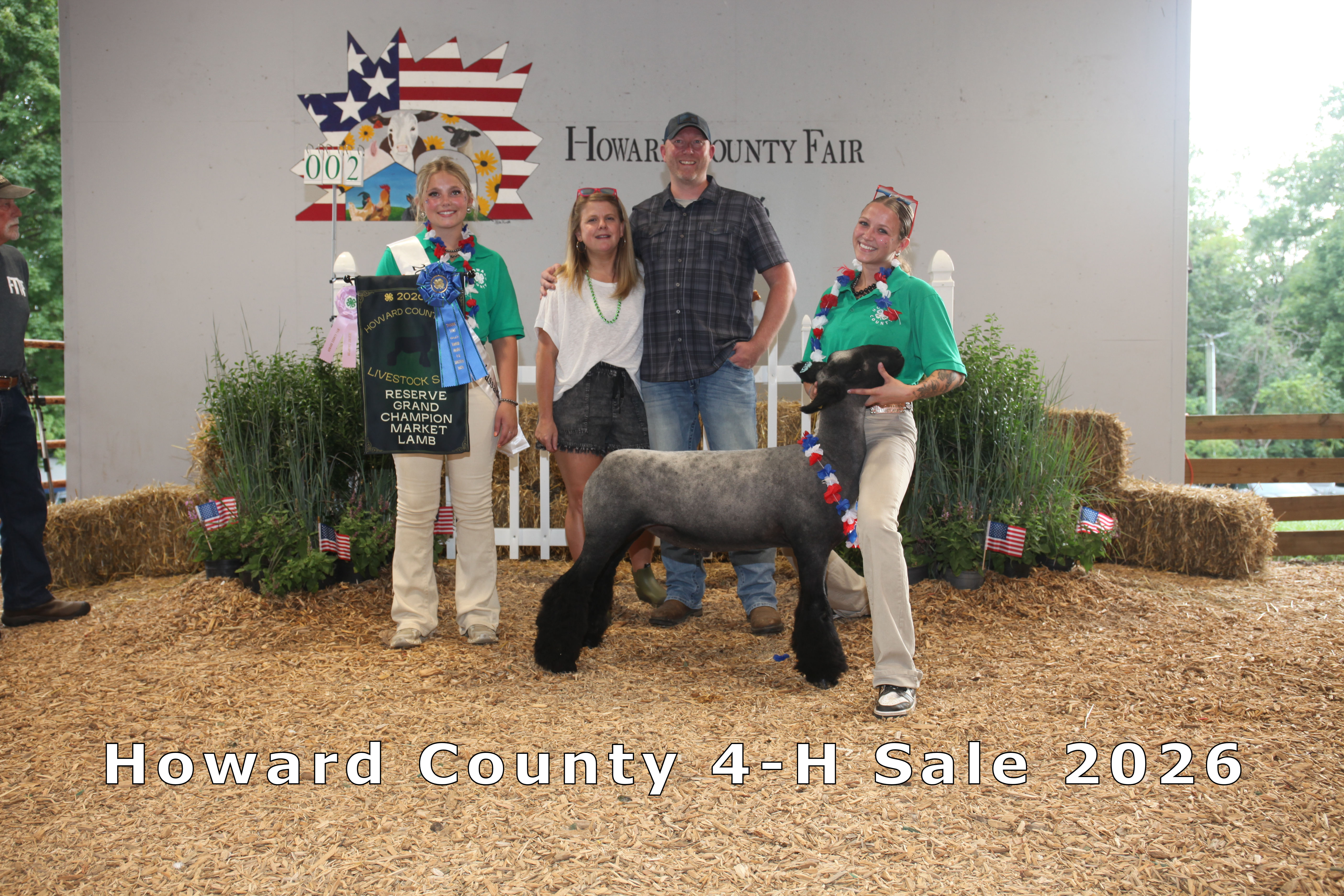 Reserve Champion Market Lamb