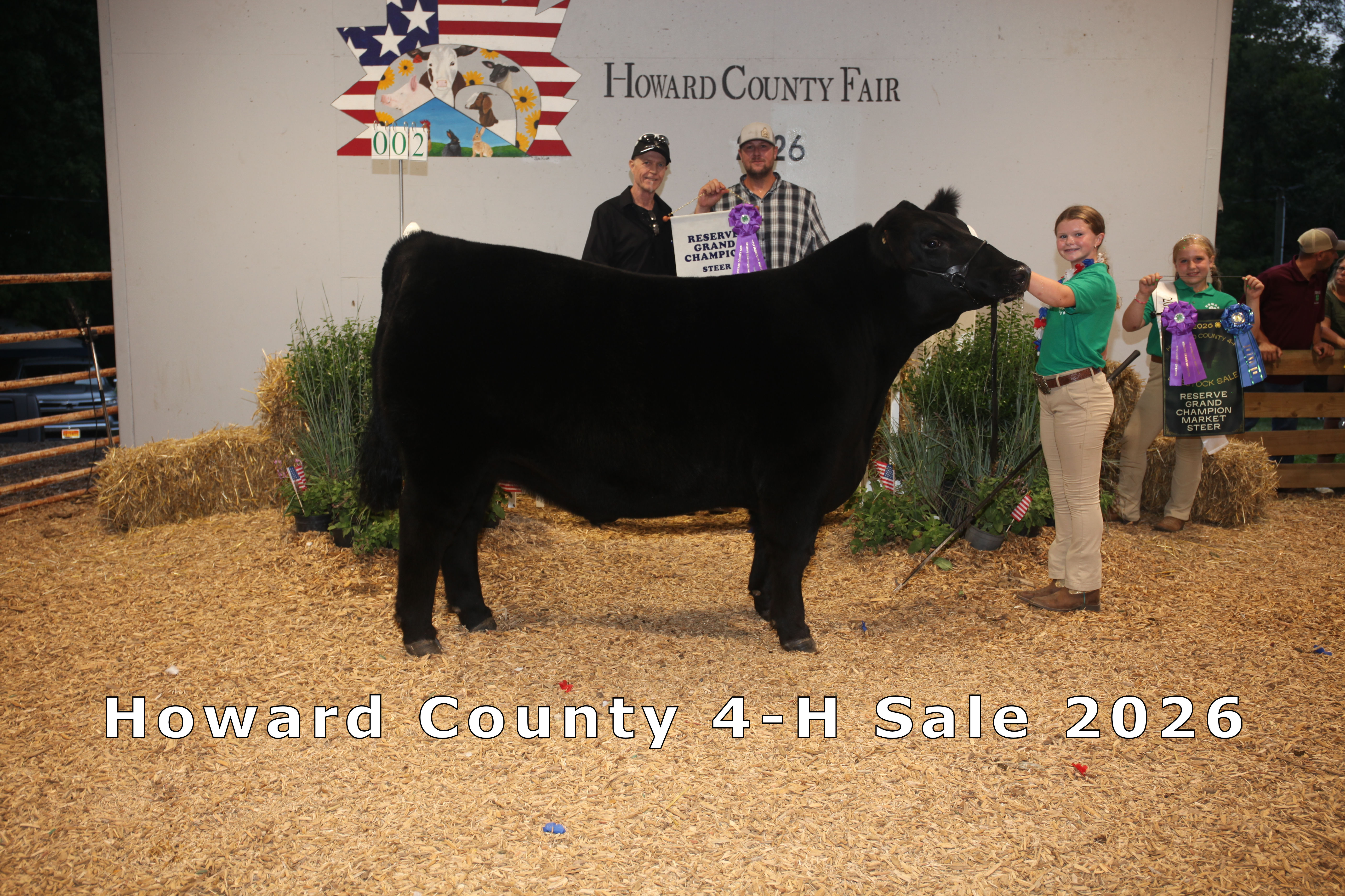 Reserve Champion Market Steer