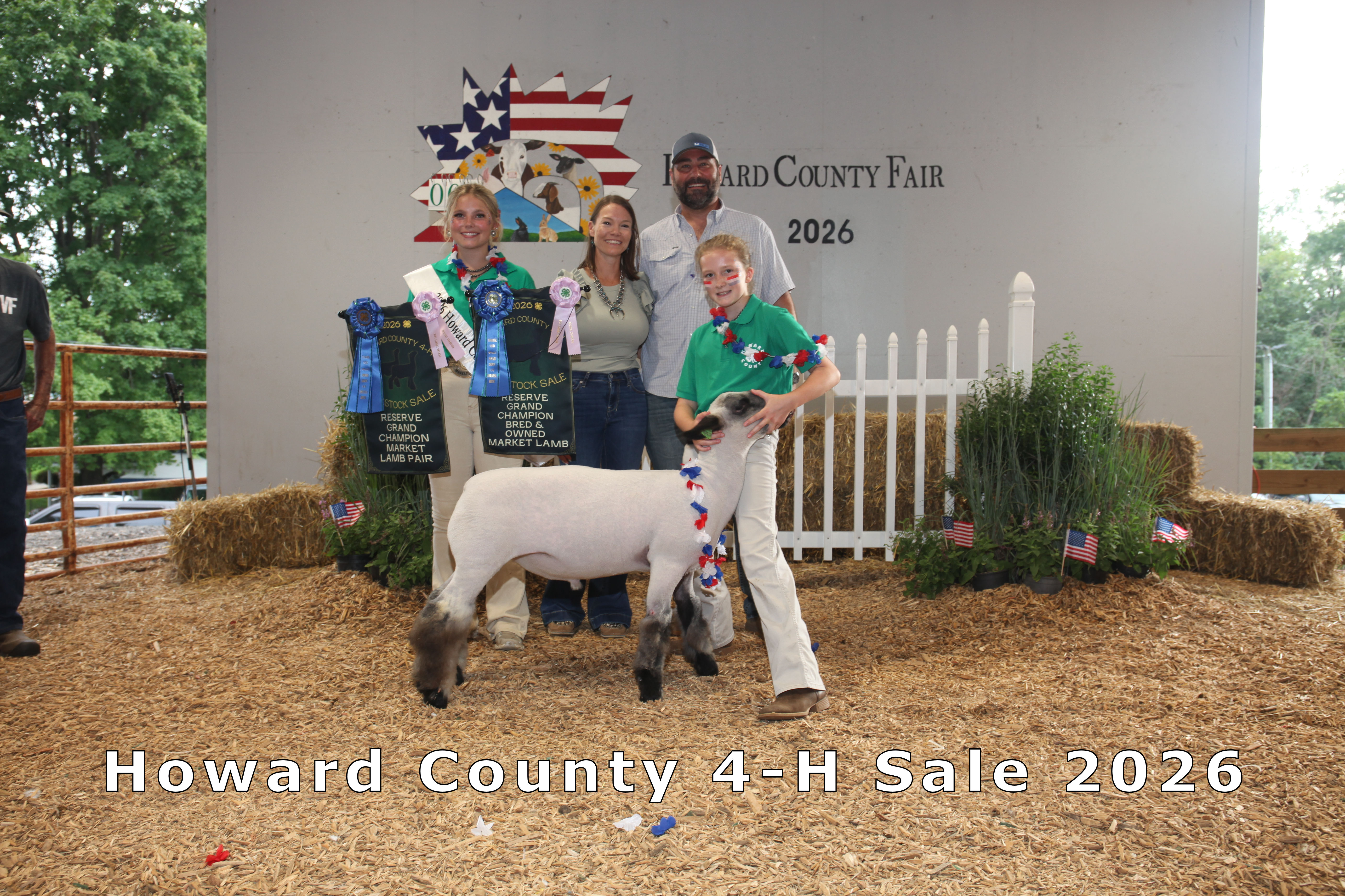 Reserve Grand Bred & Owned Market Lamb